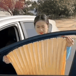 Premium Magnetic Car Curtains – Set of 4 for All Windows!