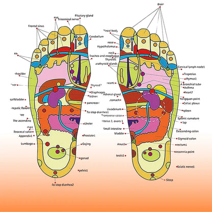 Spring Acupressure and Magnetic Therapy Slippers